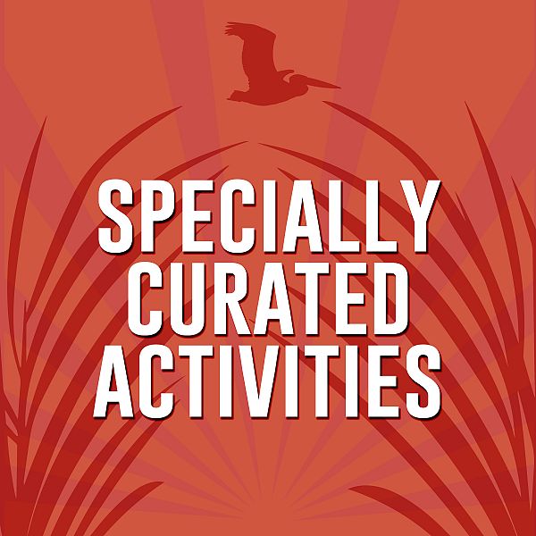 All The Best Activities + More All The Best Activities + More