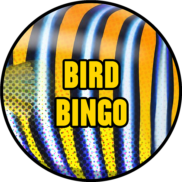 Bird Bingo