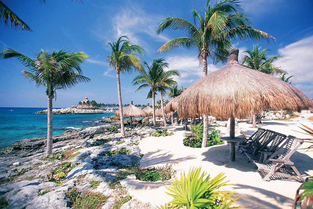 Discover Cozumel