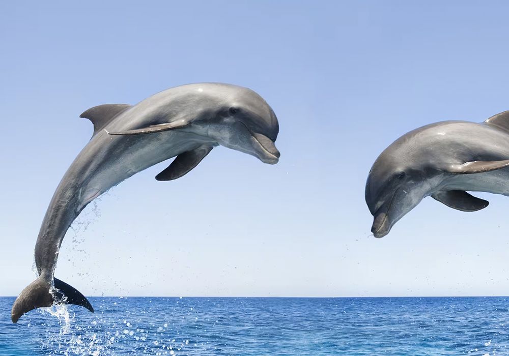 Montego Bay, Jamaica