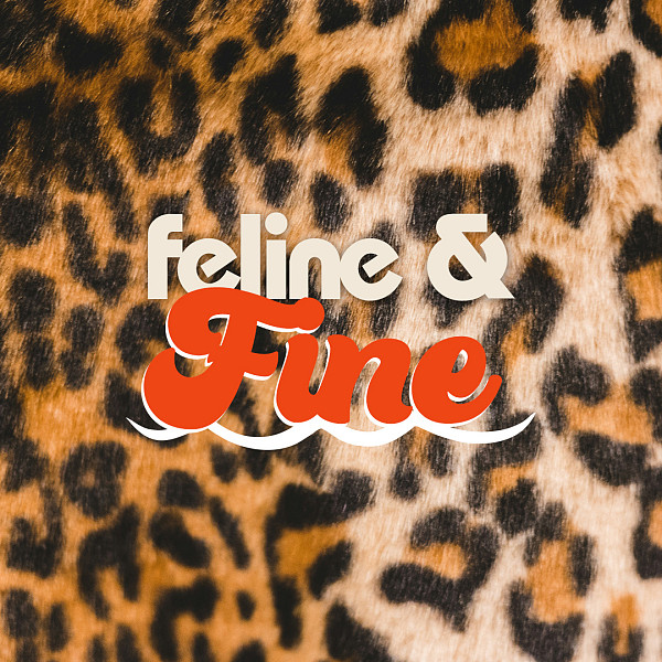 NIGHT 2: FELINE & FINE