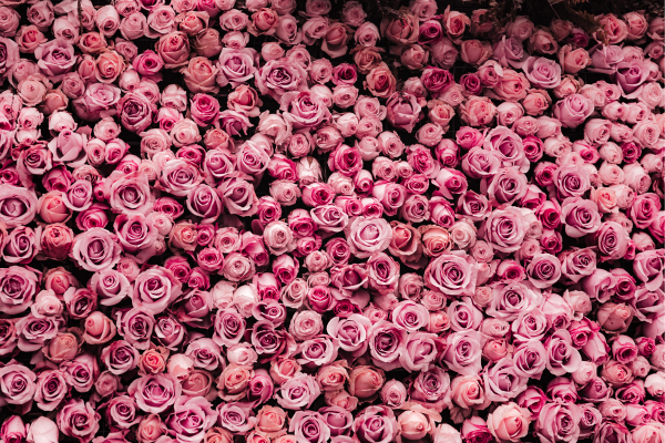 Give Her FlowHERS Charity Dinner