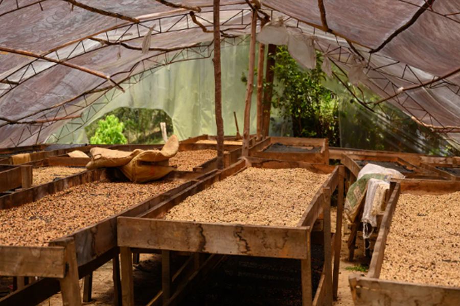 Puerto Plata, Dominican Republic