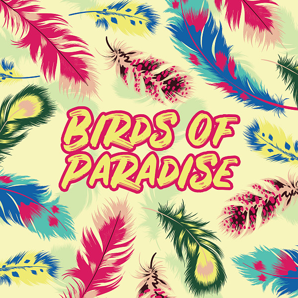 Birds of Paradise