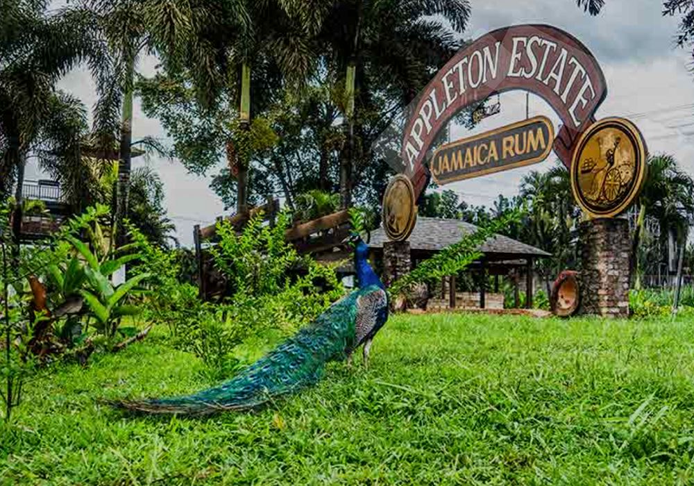 Montego Bay, Jamaica