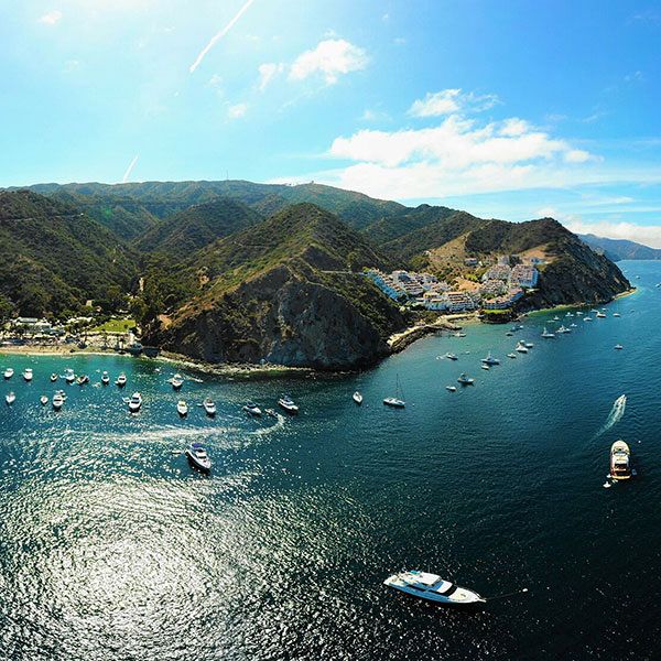 Catalina Island, California