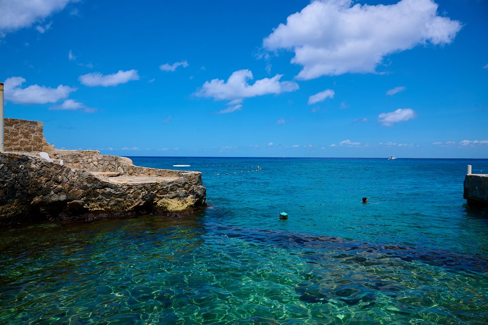 Sway With The Palms, Sparkle With The Sea