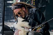 The Wildhearts