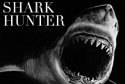Shark Hunter