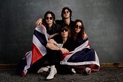 The Struts