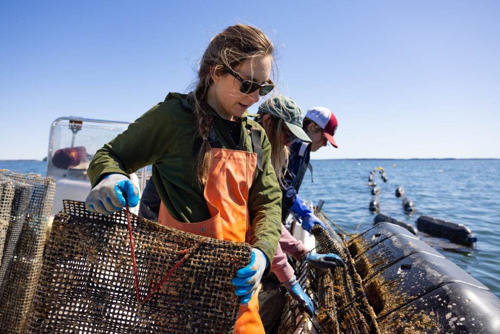 Oyster Farming Excursion