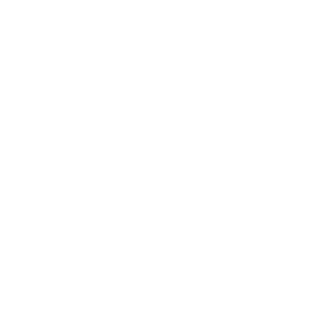 311 Caribbean Cruise 2027