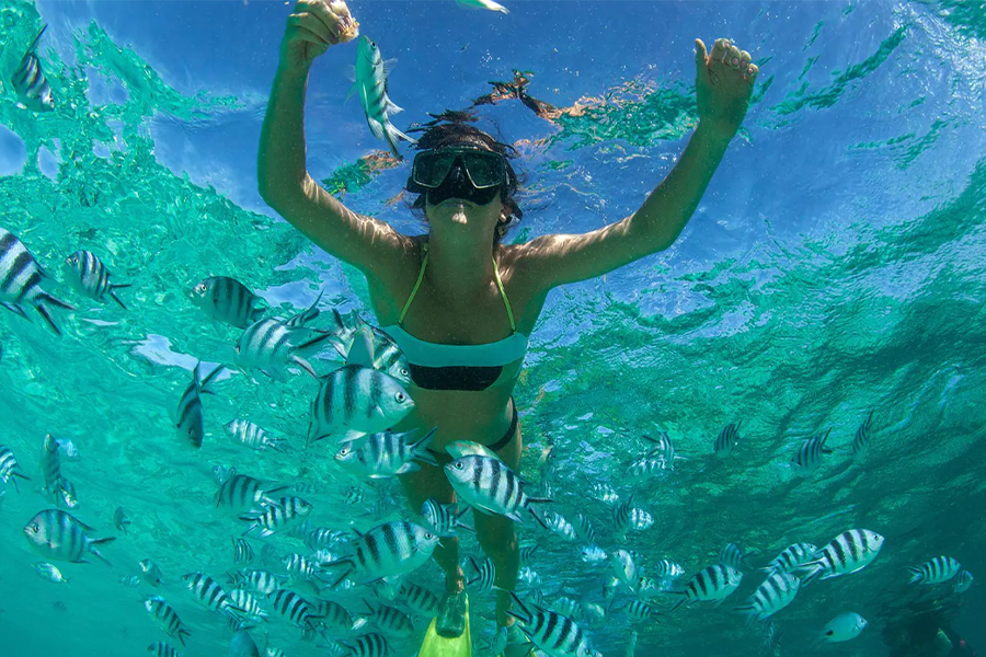 Harvest Caye, Belize