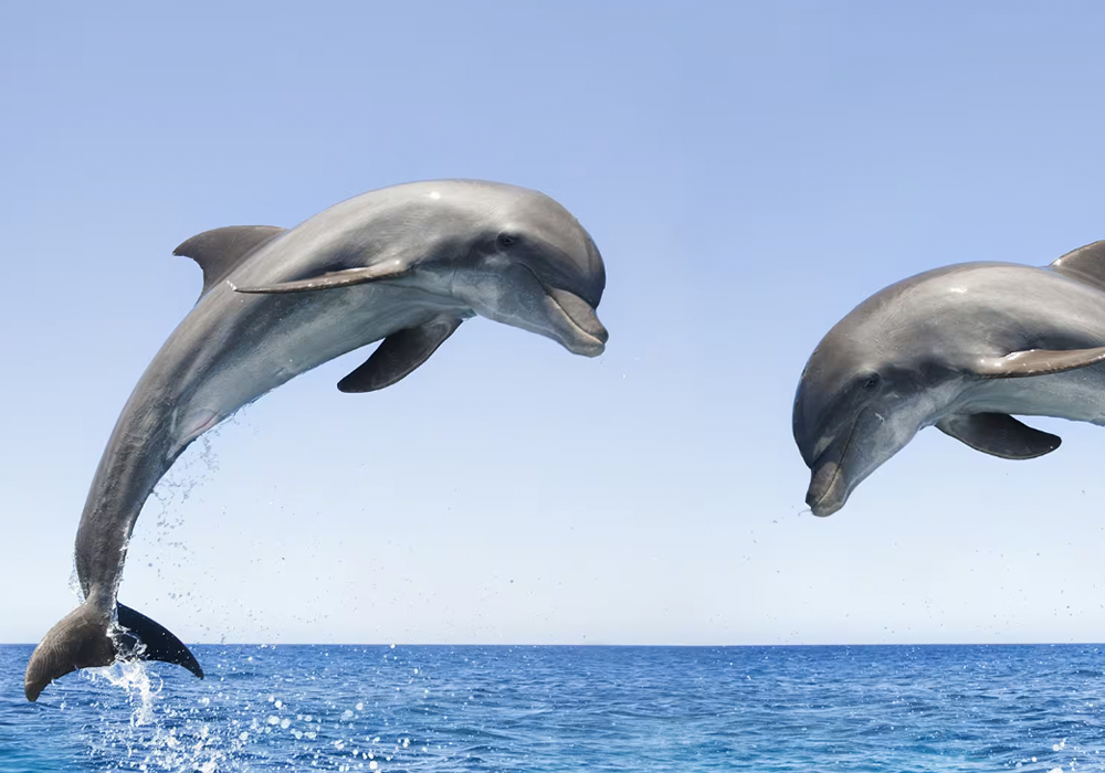 Montego Bay, Jamaica